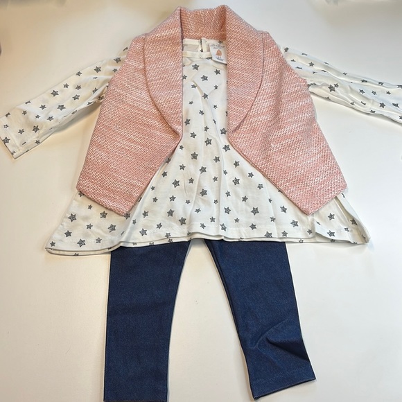 Starting Out 3PC Pink Glitter Vest, White Star Shirt, Mock Denim Leggings, NWT!! - Picture 3 of 6